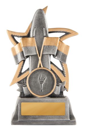 628-4A: Silver Star - Lifesaving