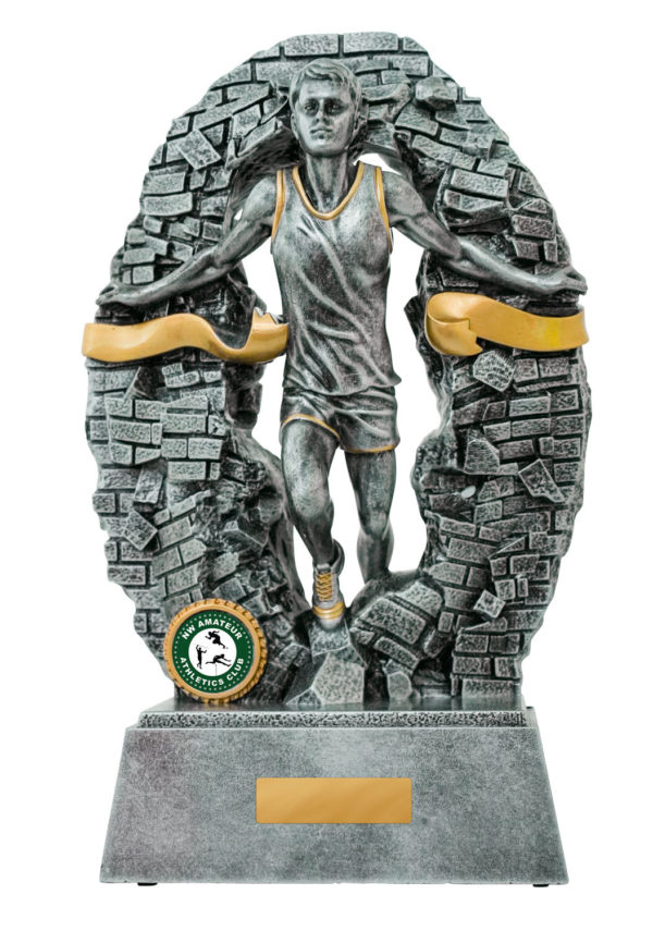 1010-17MA: Breaking Down Barriers-Athletics Male - Image 3