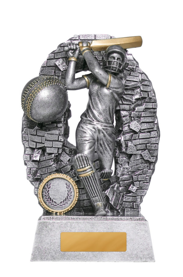 1010-1BATFA: Breaking Down Barriers-Batter Female - Image 4