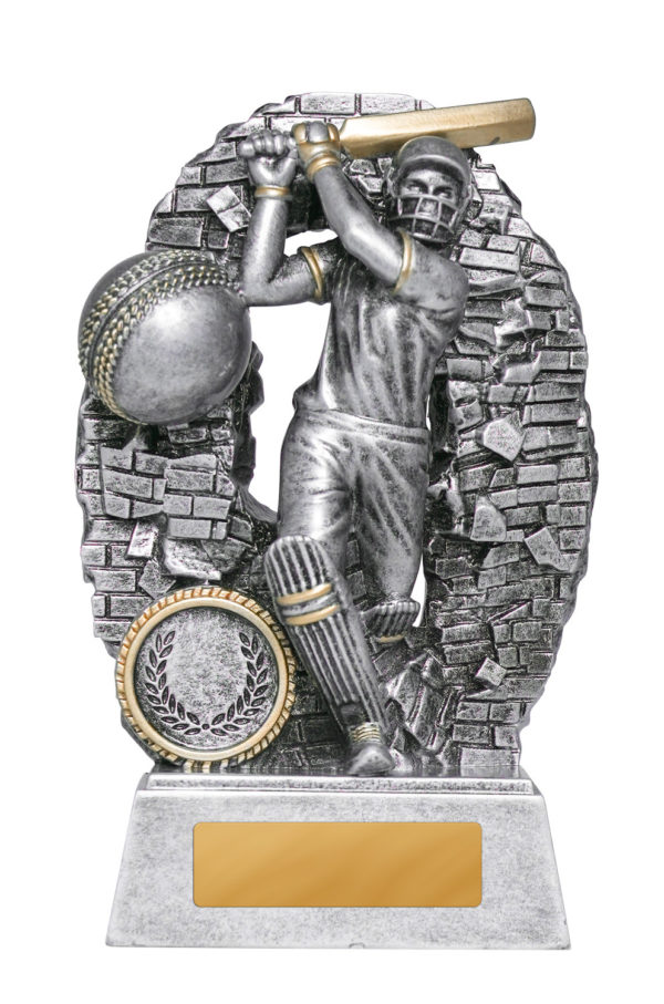 1010-1BATMA: Breaking Down Barriers-Batter Male - Image 3