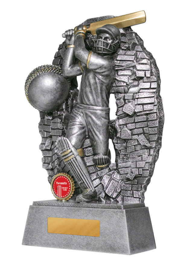 1010-1BATMA: Breaking Down Barriers-Batter Male - Image 5