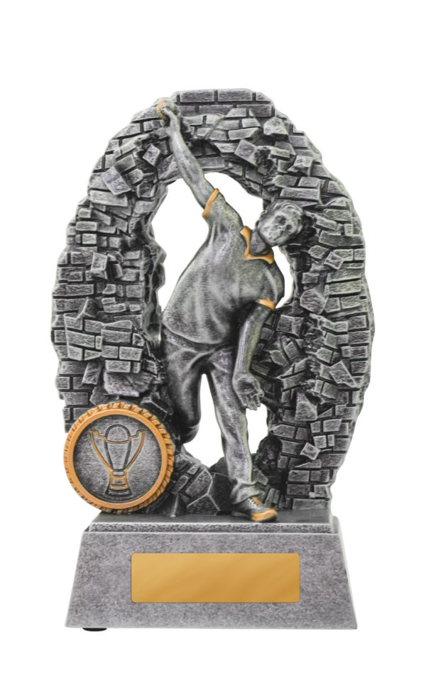 1010-1BOWMA: Breaking Down Barriers-Bowler Male - Image 3