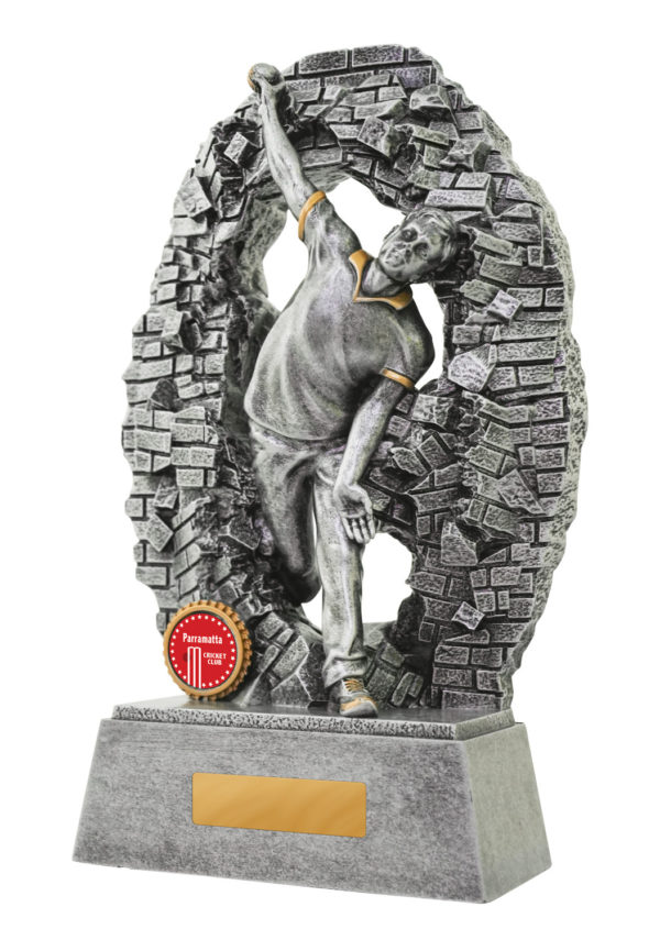 1010-1BOWMA: Breaking Down Barriers-Bowler Male - Image 5