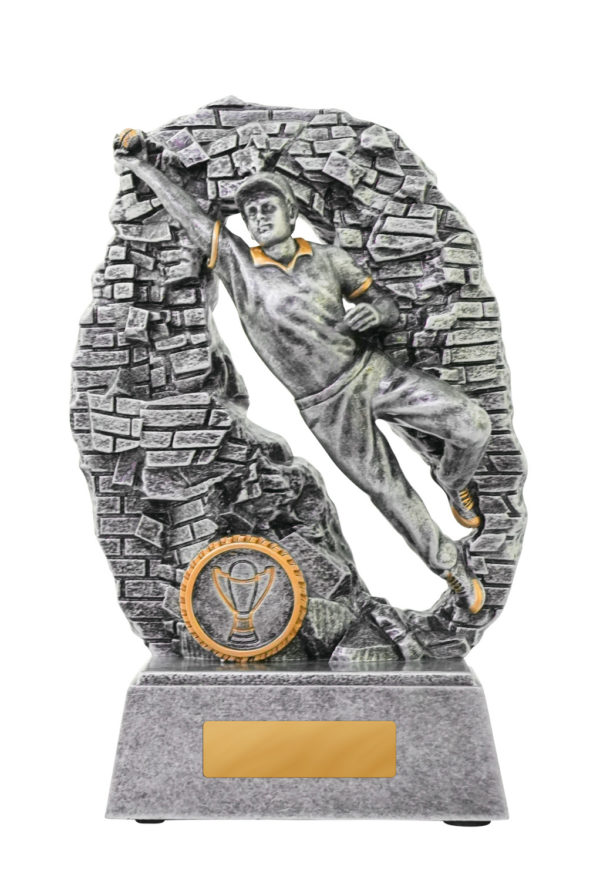 1010-1FLDMA: Breaking Down Barriers-Fielder Male - Image 4