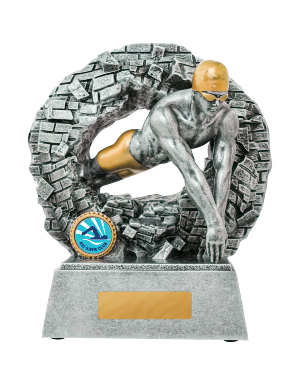 1010-2MA: Breaking Down Barriers-Swimming Male - Image 3