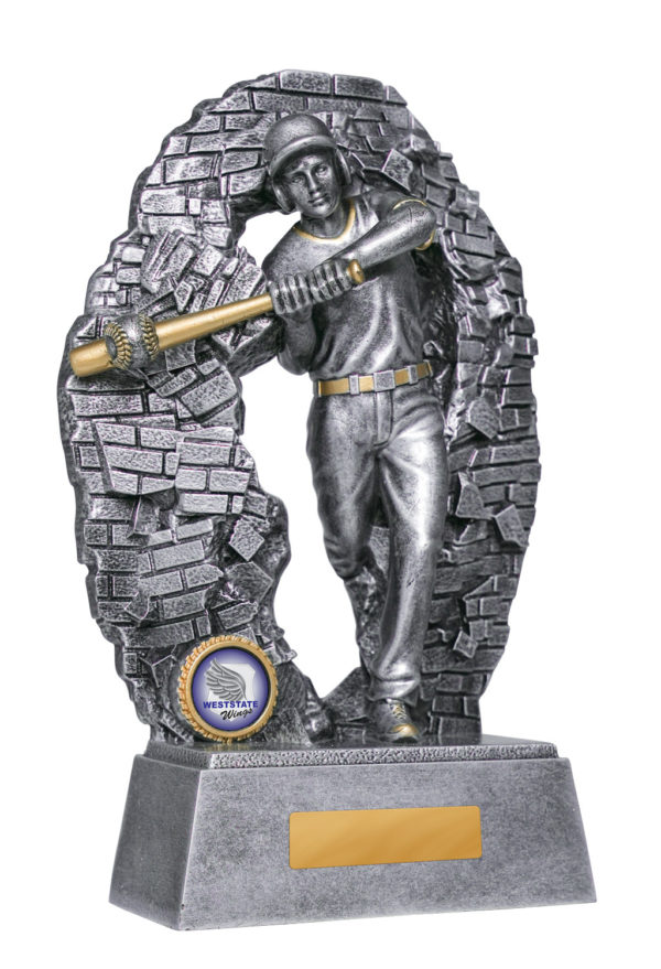 1010-5MA: Breaking Down Barriers-Baseball Male - Image 3