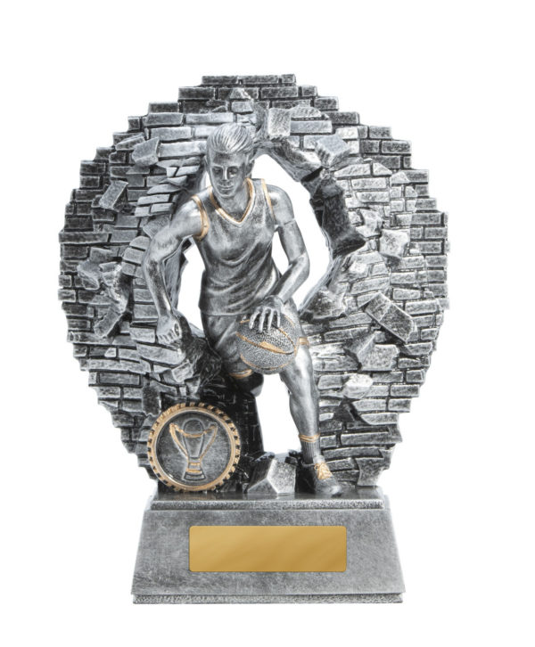 1010-7FA: Breaking Down Barriers-Basketball Female - Image 3