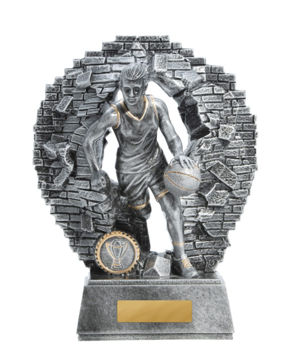 1010-7FA: Breaking Down Barriers-Basketball Female - Image 4