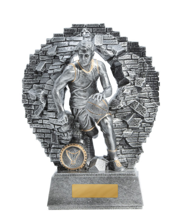 1010-7MA: Breaking Down Barriers-Basketball Male - Image 4