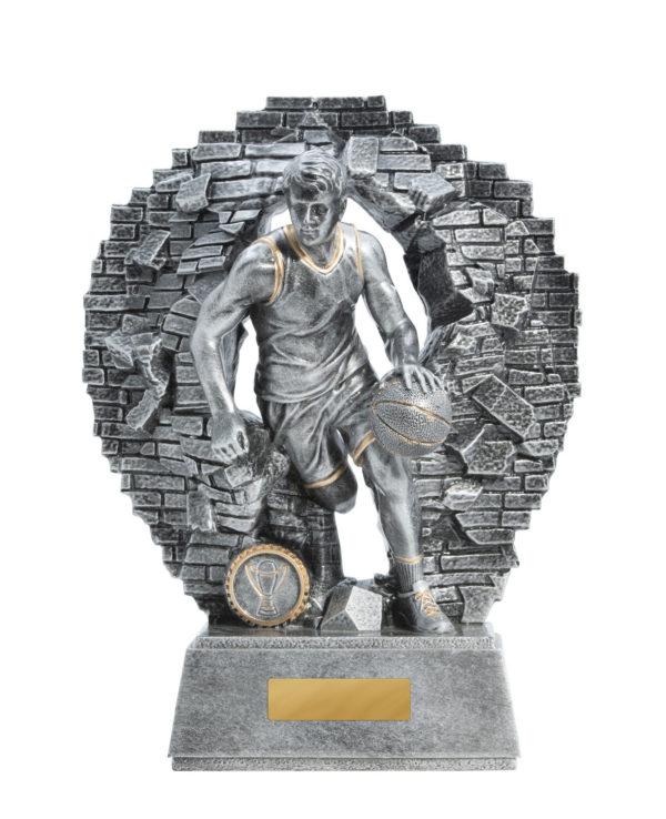 1010-7MA: Breaking Down Barriers-Basketball Male - Image 5