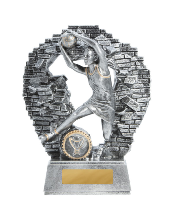 1010-8A: Breaking Down Barriers-Netball - Image 3