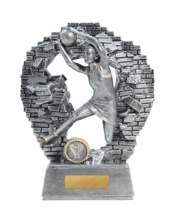 1010-8A: Breaking Down Barriers-Netball - Image 4