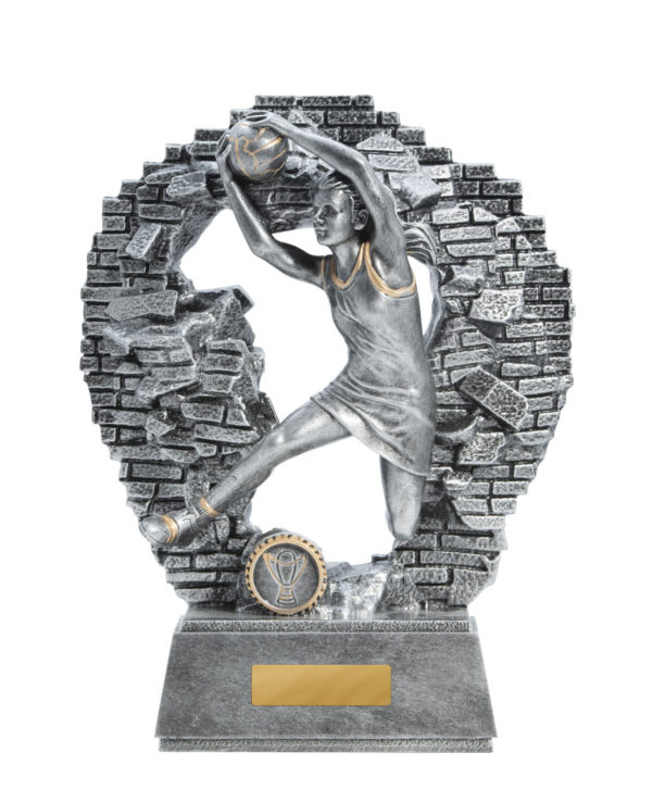 1010-8A: Breaking Down Barriers-Netball - Image 5