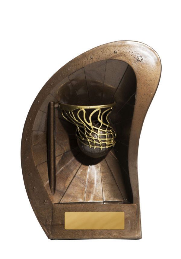 1012-8A: Arizona - Netball - Image 3