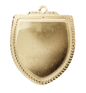 1067GVP: Shield Medal