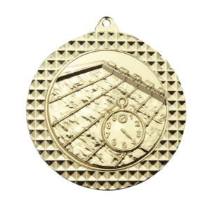 1080-2GVP: 70mm Medal Swimming