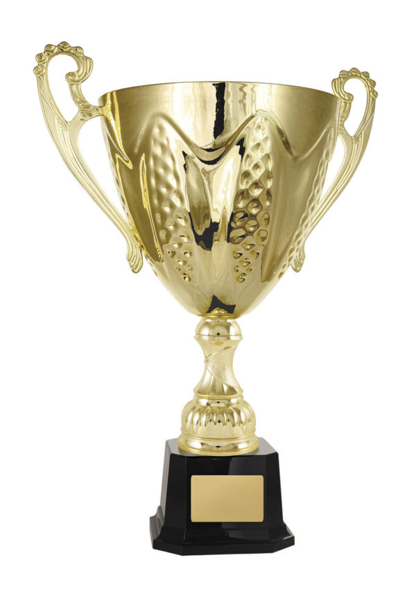 1113G-1P: Bordeaux Cup - Image 3