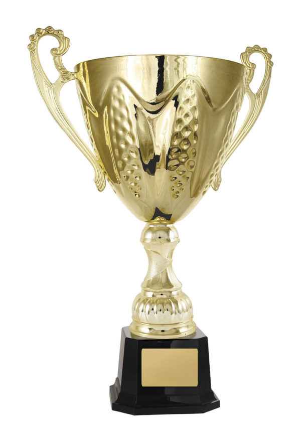 1113G-1P: Bordeaux Cup - Image 4