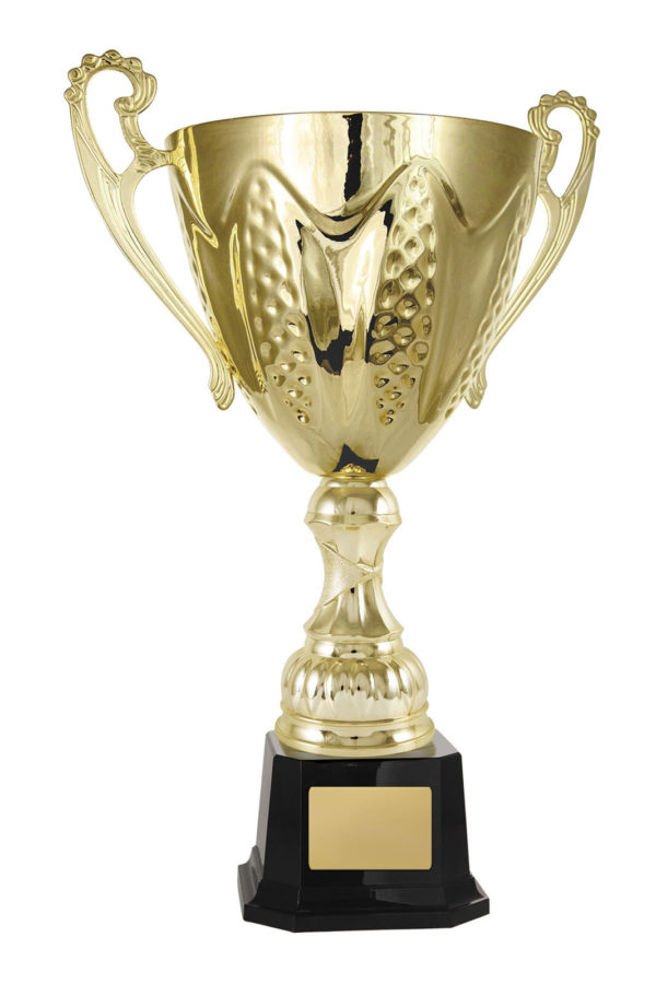 1113G-1P: Bordeaux Cup - Image 6