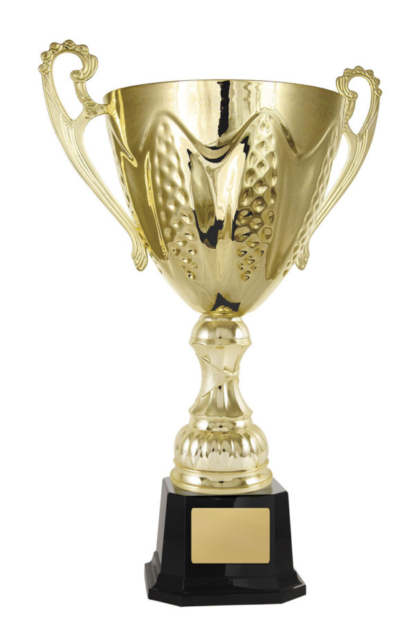 1113G-1P: Bordeaux Cup - Image 7