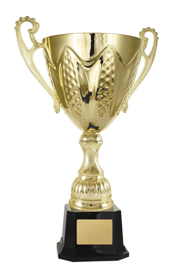 1113G-1P: Bordeaux Cup - Image 8