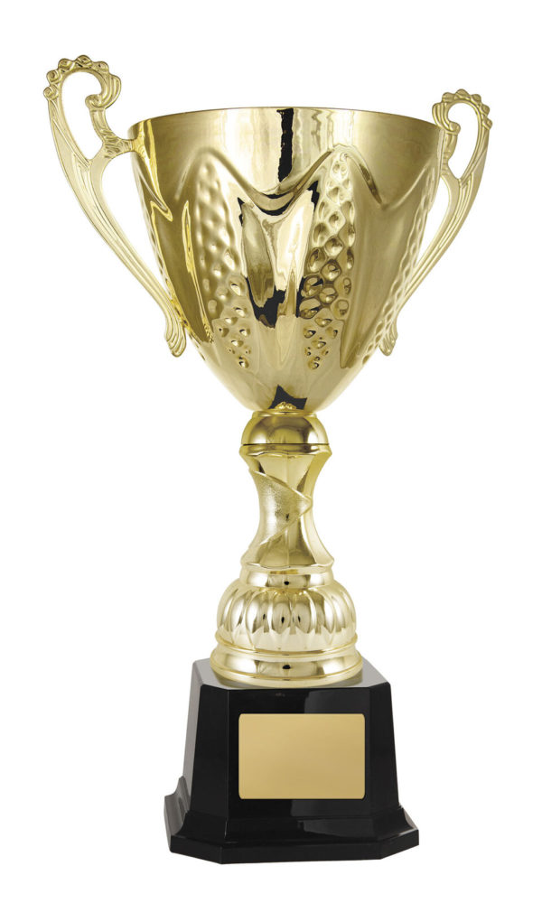 1113G-1P: Bordeaux Cup - Image 9