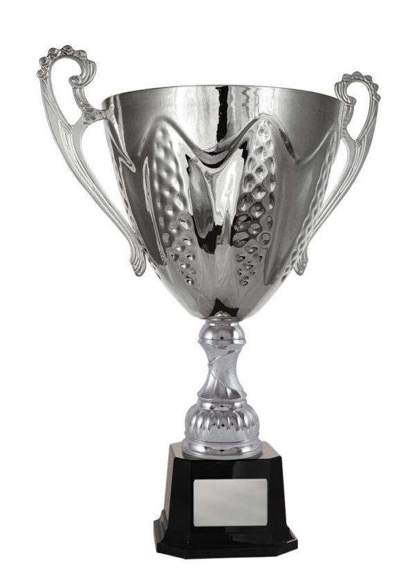 1113S-1P: Bordeaux Cup - Image 3