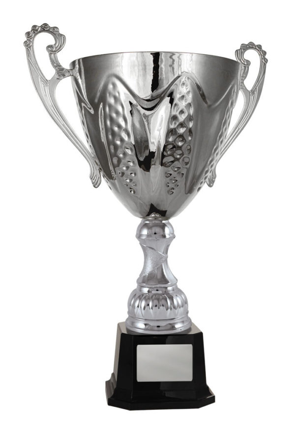 1113S-1P: Bordeaux Cup - Image 4