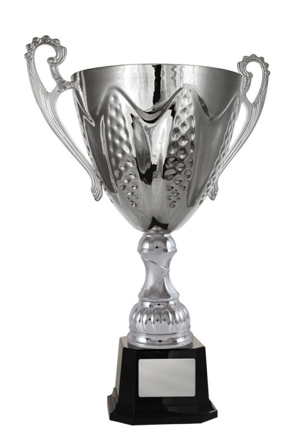 1113S-1P: Bordeaux Cup - Image 5