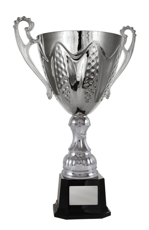 1113S-1P: Bordeaux Cup - Image 6