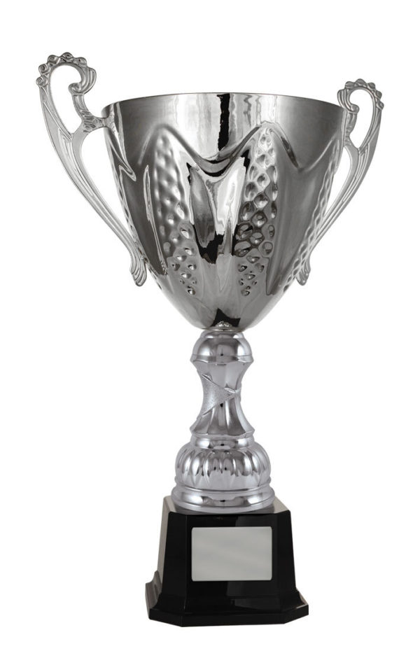 1113S-1P: Bordeaux Cup - Image 7