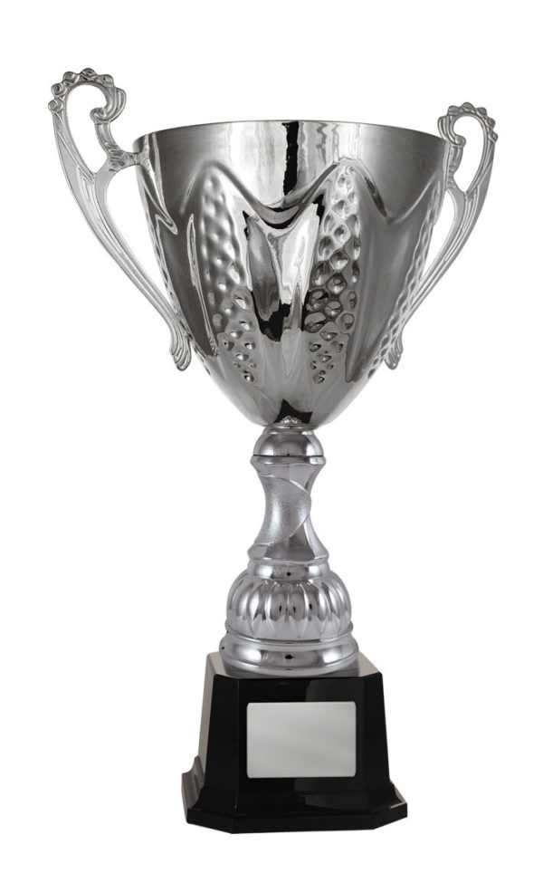 1113S-1P: Bordeaux Cup - Image 8