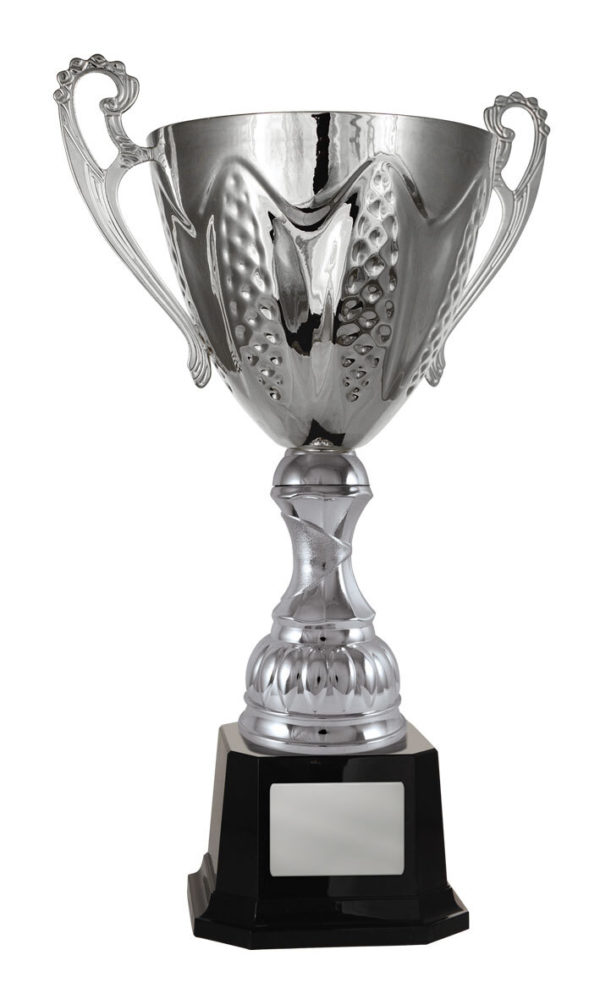 1113S-1P: Bordeaux Cup - Image 9