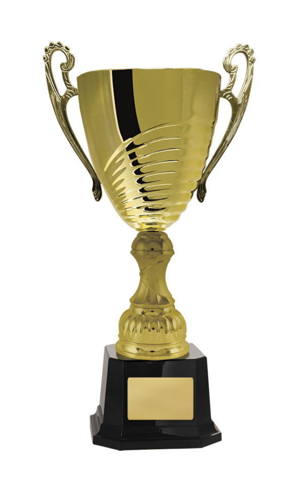 1119G-1P: Prosecco Cup - Image 3