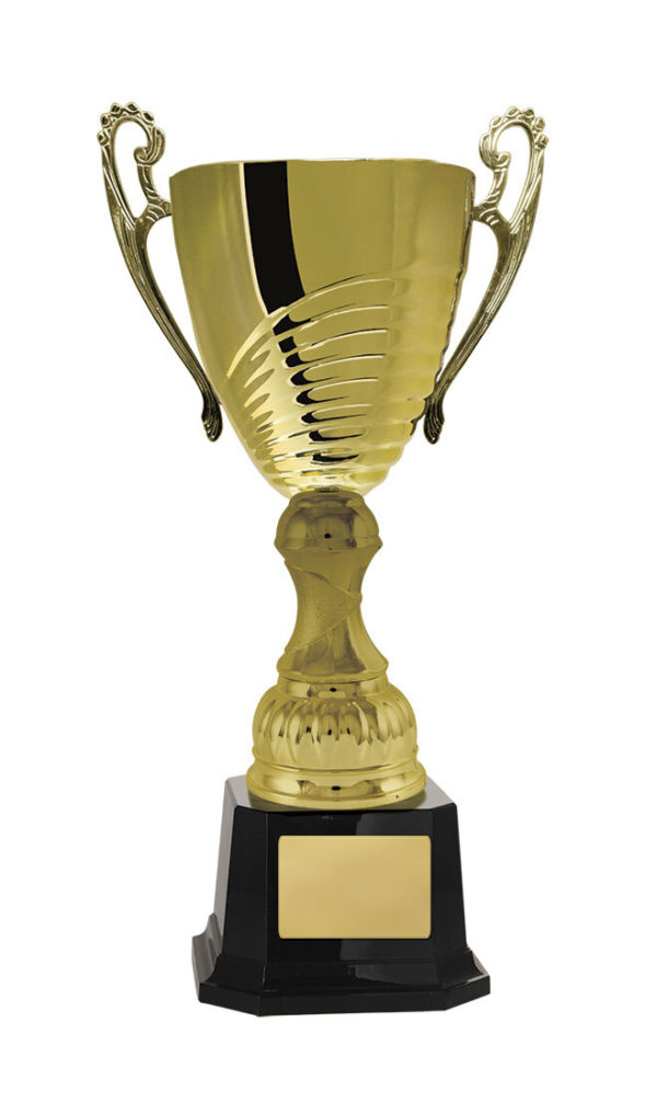 1119G-1P: Prosecco Cup - Image 4