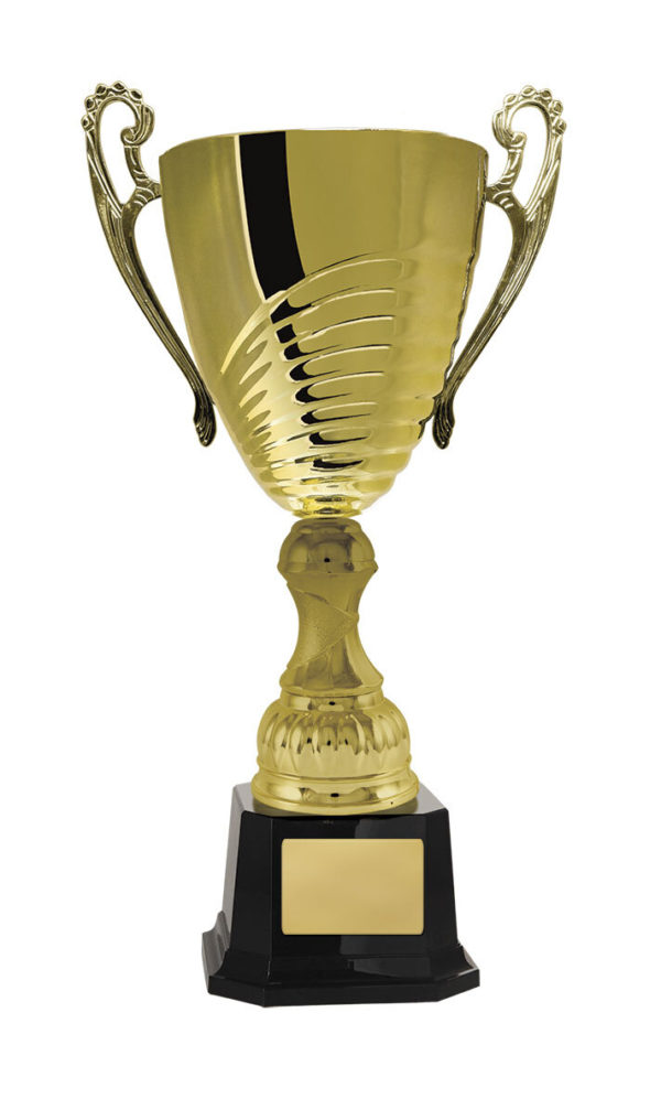 1119G-1P: Prosecco Cup - Image 5