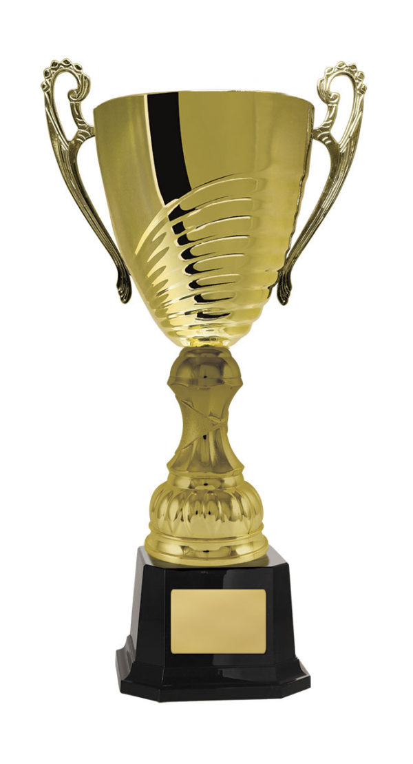 1119G-1P: Prosecco Cup - Image 6