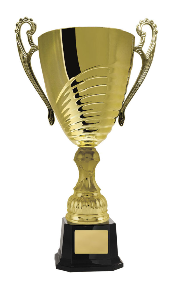 1119G-1P: Prosecco Cup - Image 7