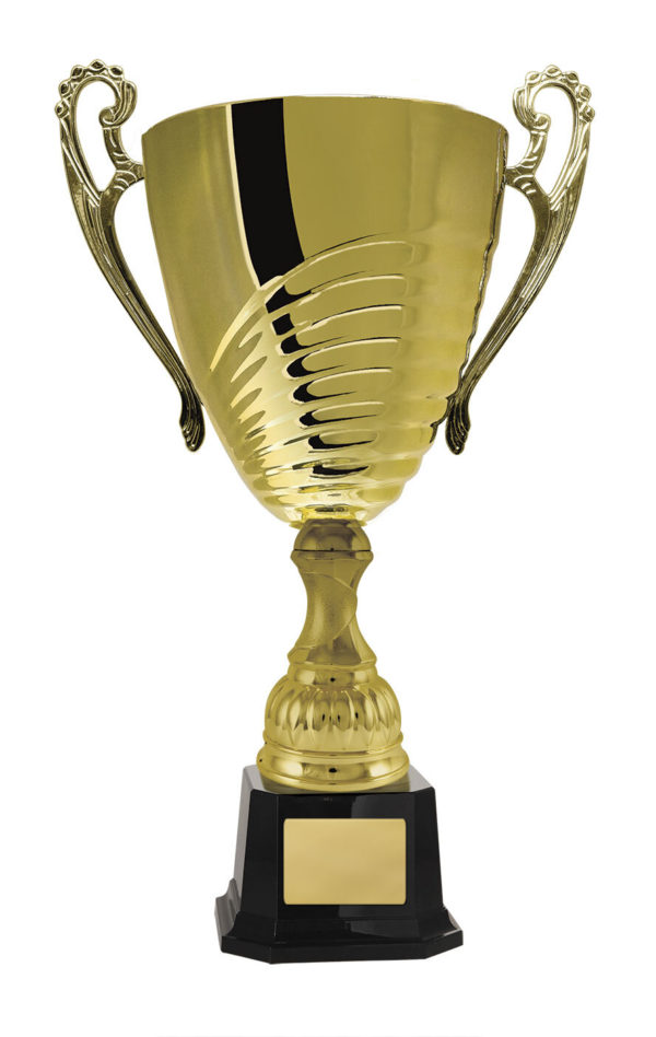 1119G-1P: Prosecco Cup - Image 8