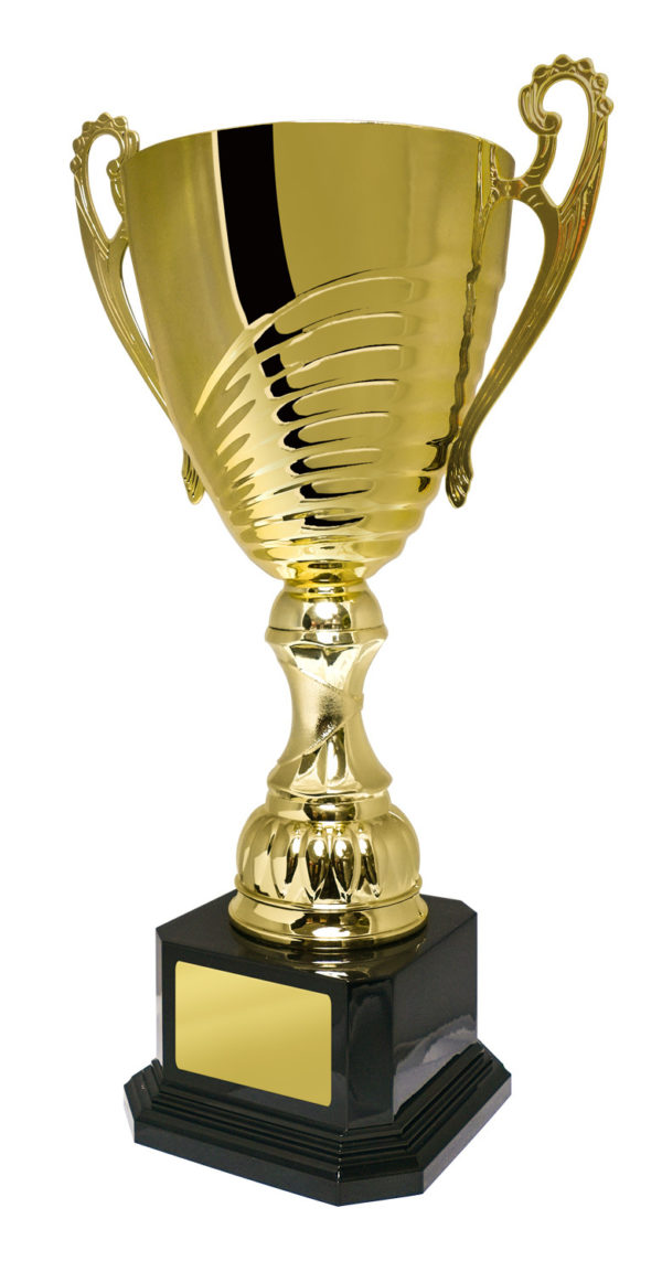 1119G-1P: Prosecco Cup - Image 9