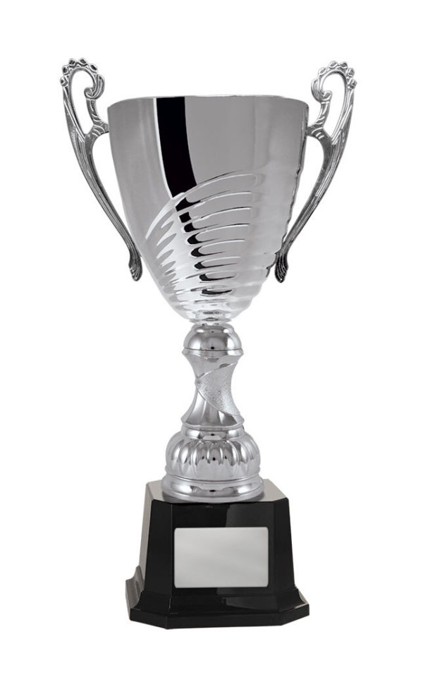 1119S-1P: Prosecco Cup - Image 3