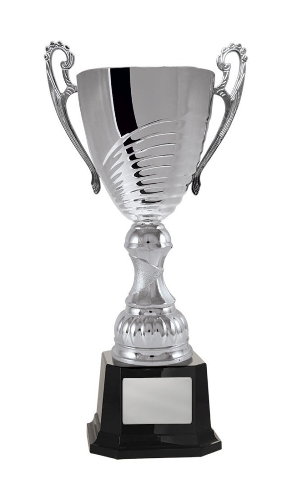 1119S-1P: Prosecco Cup - Image 4