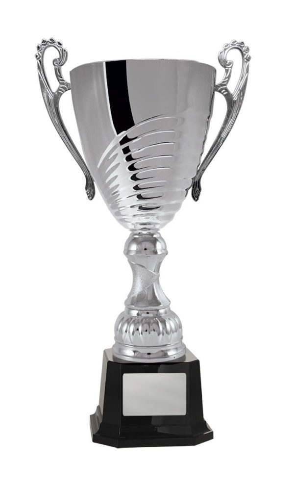 1119S-1P: Prosecco Cup - Image 5