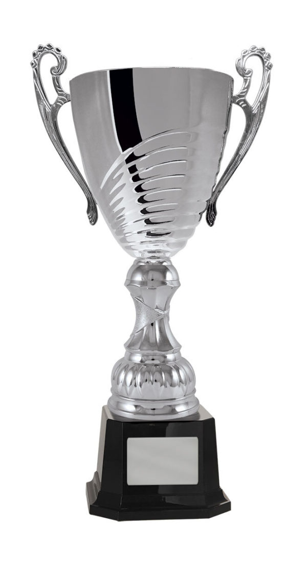 1119S-1P: Prosecco Cup - Image 6