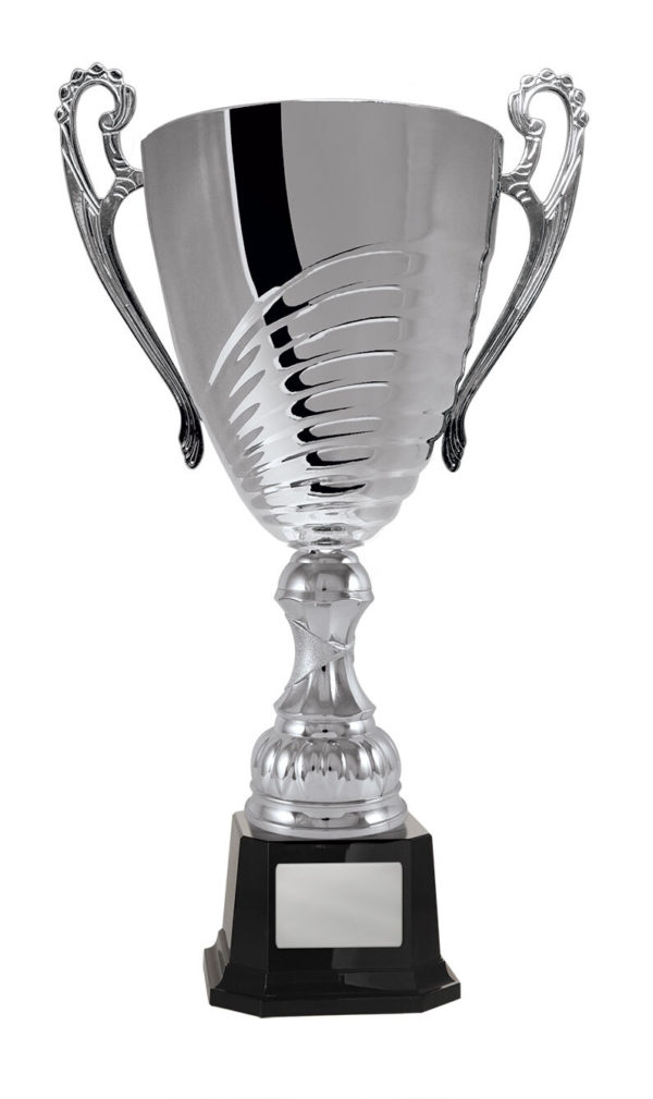 1119S-1P: Prosecco Cup - Image 7