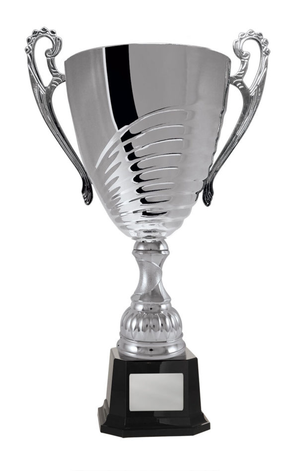 1119S-1P: Prosecco Cup - Image 8