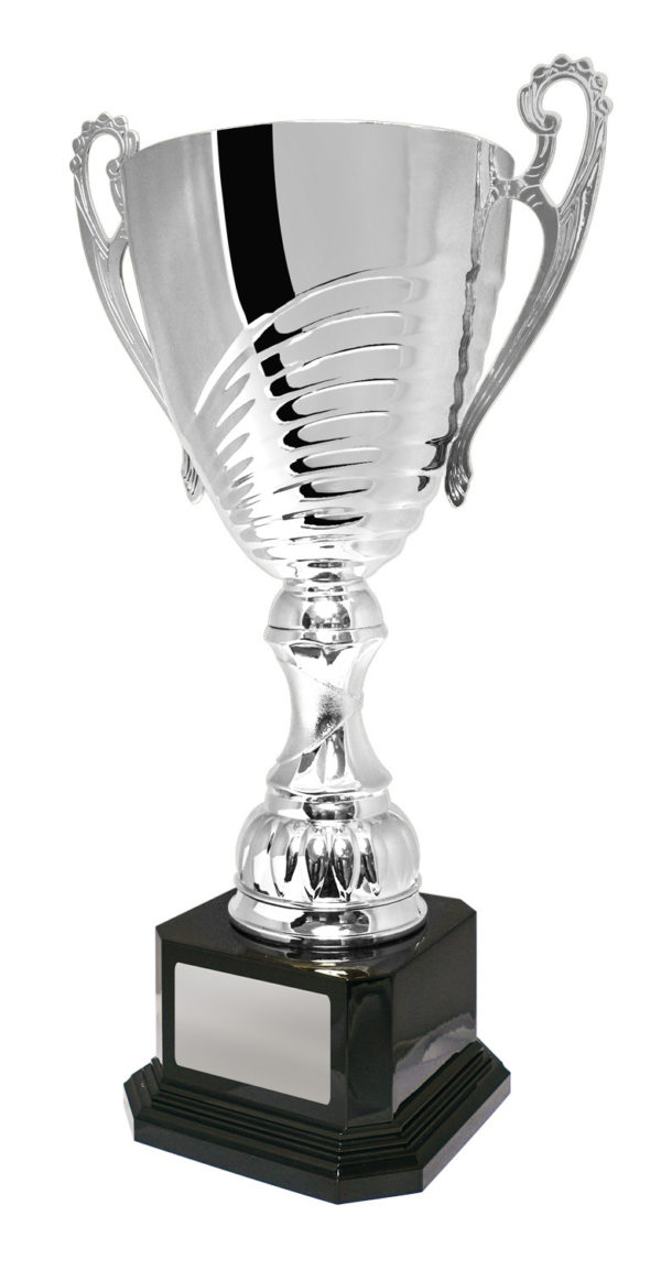 1119S-1P: Prosecco Cup - Image 9