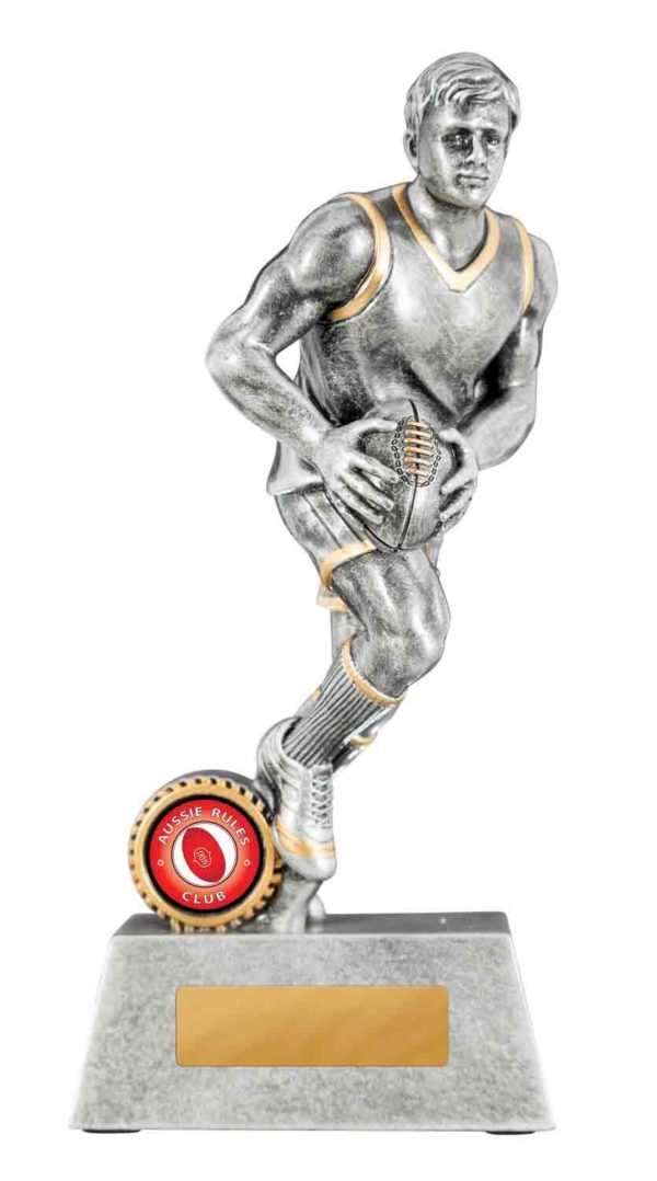 1133-3MA: Omega Series-Aussie Rules - Image 3