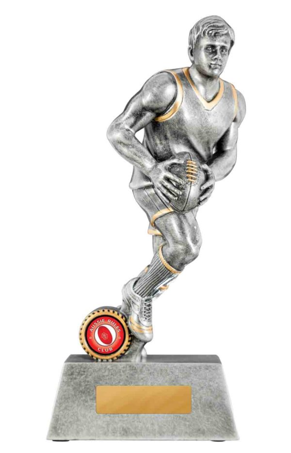 1133-3MA: Omega Series-Aussie Rules - Image 4