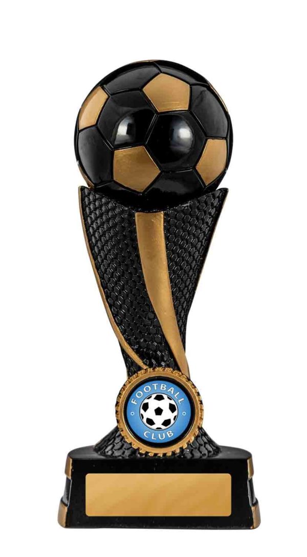 1134-9A: Delta Series-Football - Image 3